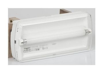 Автономный светильник аварийного освещения U21 - люминесцентный - непостоянного действия - 6 Вт - 1 ч - 110 лм